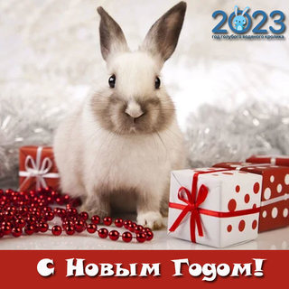 С наступающим Новым 2023 годом!